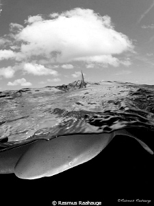 Oceanic snap, without the snap :-) by Rasmus Raahauge 